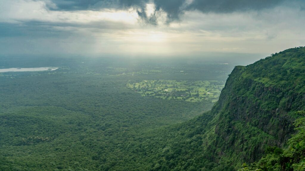 Experiencing India's Wildlife: Top National Parks for Safaris