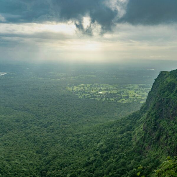 Experiencing India's Wildlife: Top National Parks for Safaris